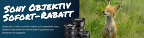 Hobby FOTO Katalog | Electricals Sale | 2025-08-06T00:00:00.000Z - 2025-09-16T00:00:00.000Z