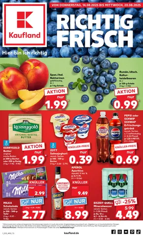 Kaufland Katalog in Erlangen | Exklusive Deals für unsere Kunden | 2025-08-10T00:00:00.000Z - 2025-08-20T00:00:00.000Z
