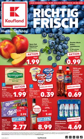 Kaufland Katalog | Top-Angebote für alle Schnäppchenjäger | 2025-08-10T00:00:00.000Z - 2025-08-20T00:00:00.000Z