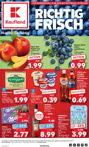 Kaufland Katalog in Hagen | Angebote für Schnäppchenjäger | 2025-08-10T00:00:00.000Z - 2025-08-20T00:00:00.000Z