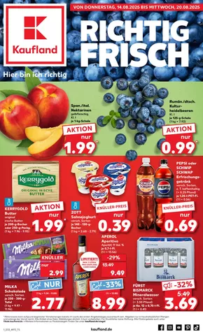 Kaufland Katalog in Hilden | Aktuelle Deals und Angebote | 2025-08-10T00:00:00.000Z - 2025-08-20T00:00:00.000Z