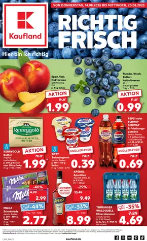 Kaufland Katalog | Tolles Angebot für alle Kunden | 2025-08-10T00:00:00.000Z - 2025-08-20T00:00:00.000Z