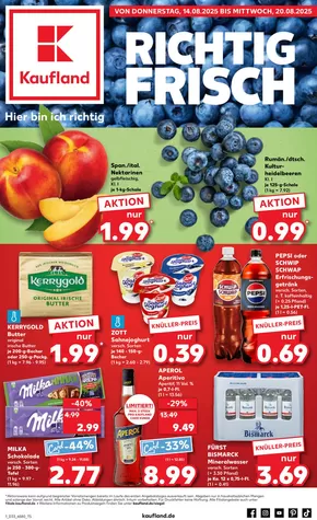 Kaufland Katalog in Gummersbach | Unsere besten Angebote für Sie | 2025-08-10T00:00:00.000Z - 2025-08-20T00:00:00.000Z