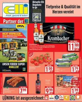Elli Markt Katalog in Verl | Elli Markt flugblatt | 2025-08-11T00:00:00.000Z - 2025-08-16T00:00:00.000Z