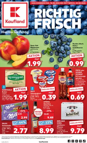 Kaufland Katalog | Unsere besten Angebote für Sie | 2025-08-10T00:00:00.000Z - 2025-08-20T00:00:00.000Z