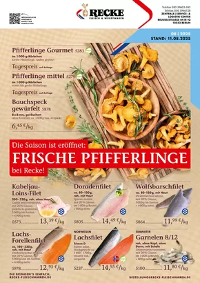 Frische pfifferlinge