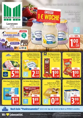 Marktkauf Katalog in Böhl-Iggelheim | Exklusive Deals und Schnäppchen | 2025-08-18T00:00:00.000Z - 2025-08-23T00:00:00.000Z