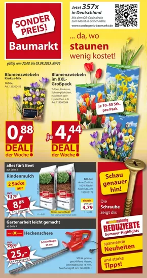 Sonderpreis Baumarkt Katalog | Nächste Woche | 2025-08-30T00:00:00.000Z - 2025-09-05T00:00:00.000Z