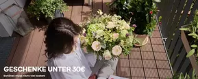 Blume 2000 Katalog | Geschenke Unter 30€ | 2025-08-25T00:00:00.000Z - 2025-09-30T00:00:00.000Z