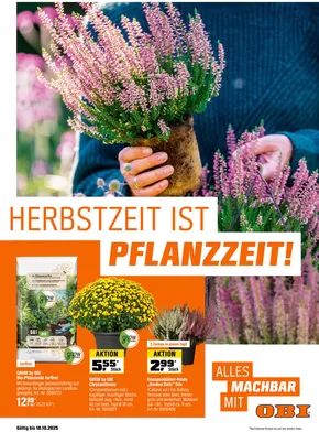 OBI Katalog in Norderstedt | HERBSTZEIT IST PFLANZZEIT | 2025-08-31T00:00:00.000Z - 2025-10-18T00:00:00.000Z