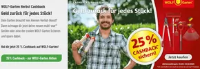 Leitermann Baumarkt Katalog in Norderstedt | 25% Cashback Sichern | 2025-09-03T00:00:00.000Z - 2025-10-31T00:00:00.000Z