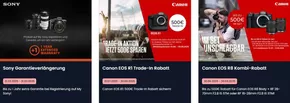Foto Hamer Katalog in Paderborn | Canon Eos R8 Kombi Rabatt | 2025-09-11T00:00:00.000Z - 2025-09-30T00:00:00.000Z