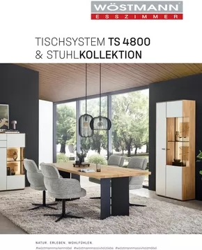 Möbel Rehmann Katalog | TISCHSYSTEM TS 4800 & STUHLKOLLEKTION | 2025-09-11T00:00:00.000Z - 2025-12-31T00:00:00.000Z