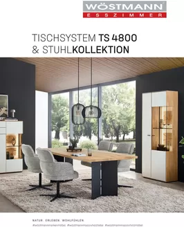 Möbel Rehmann Katalog | TISCHSYSTEM TS 4800 & STUHLKOLLEKTION | 2025-09-11T00:00:00.000Z - 2026-12-31T00:00:00.000Z