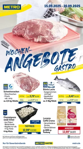 Metro Katalog in Demmin | Attraktive Angebote entdecken | 2025-09-15T00:00:00.000Z - 2025-09-20T00:00:00.000Z