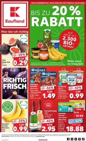 Kaufland Katalog | Aktuelle Deals und Angebote | 2025-09-14T00:00:00.000Z - 2025-09-20T00:00:00.000Z