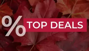 Baur Katalog in Essen | % Top Deals | 2025-09-16T00:00:00.000Z - 2025-09-30T00:00:00.000Z