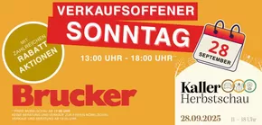 Möbel Brucker Katalog | Verkaufdoddener Sonntag | 2025-09-16T00:00:00.000Z - 2025-09-28T00:00:00.000Z