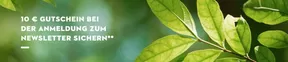 10€ Gustchein Bei Der Anmeldung Zum Newsletter Sichern