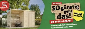 Jetzt Bis Zu 41% Rabatt Sichern