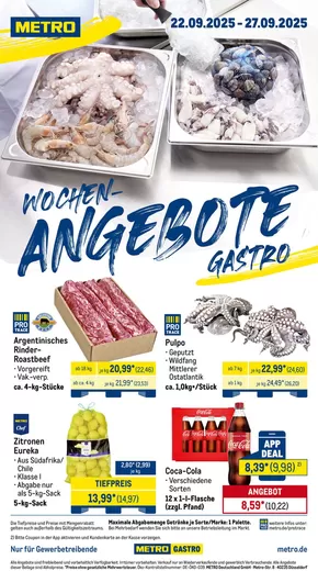 Metro Katalog in Winsen (Luhe) | Rabatte und Aktionen | 2025-09-22T00:00:00.000Z - 2025-09-27T00:00:00.000Z