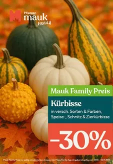 Pflanzen Mauk Katalog | angrbote! | 2025-10-24T00:00:00.000Z - 2025-11-30T00:00:00.000Z