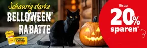 Das Futterhaus Katalog in Asbach (Neuwied) | Schauring Starke Belloween Rabatte | 2025-10-30T00:00:00.000Z - 2025-11-17T00:00:00.000Z