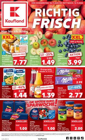 Kaufland Katalog in Karlsruhe | Unsere besten Schnäppchen | 2025-11-02T00:00:00.000Z - 2025-11-08T00:00:00.000Z