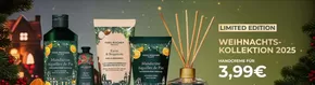 Weihnacnts Kollektion 2025