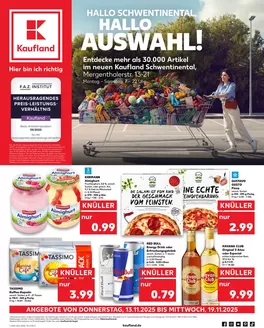 Kaufland Katalog | Top-Deals für alle Kunden | 2025-11-09T00:00:00.000Z - 2025-11-19T00:00:00.000Z
