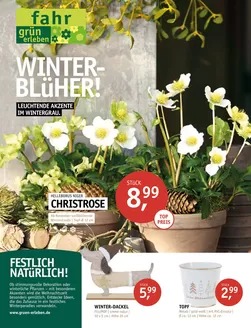 Gartencenter Fahr Katalog in Essen | FESTLICH NATüRLICH! | 2025-11-14T00:00:00.000Z - 2025-12-31T00:00:00.000Z