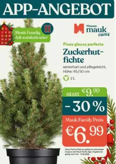 Hark Kamine Katalog in Zeven | APP-ANGEBOT~ | 2025-12-11T00:00:00.000Z - 2026-01-02T00:00:00.000Z