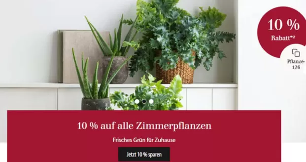 Dehner Katalog in Schöffengrund | 10% Auf Alle Zimmerpflanzen | 2026-01-19T00:00:00.000Z - 2026-02-10T00:00:00.000Z