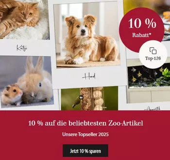 Dehner Katalog in Schöffengrund | 10% Auf Die Beliebtesten Zoo-Artikel | 2026-01-19T00:00:00.000Z - 2026-02-03T00:00:00.000Z