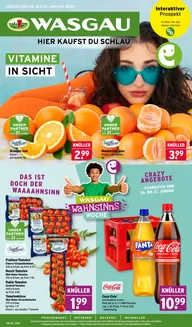 Wasgau Katalog in Leun | Wasgau flugblatt | 2026-01-26T00:00:00.000Z - 2026-01-31T00:00:00.000Z