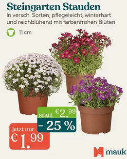 Pflanzen Mauk Katalog in Fürth | Steingarten Stauden | 2026-03-12T00:00:00.000Z - 2026-03-17T00:00:00.000Z