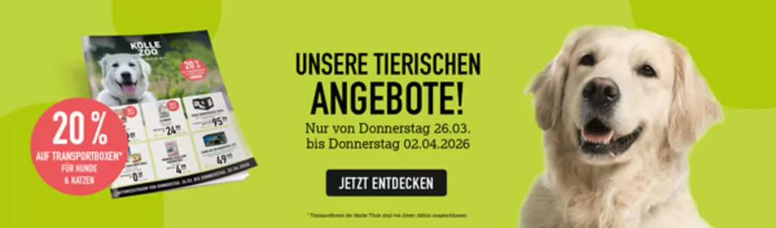 Kölle Zoo Katalog in Erfurt | Koelle Zoo flugblatt | 2026-03-26T00:00:00.000Z - 2026-04-02T00:00:00.000Z