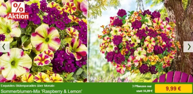 Baldur Garten Katalog in Düren | Hit 2026! | 2026-04-15T00:00:00.000Z - 2026-04-30T00:00:00.000Z