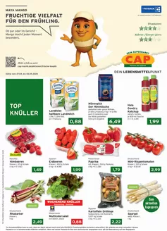 CAP Markt Katalog in Wernau (Neckar) | Top-Angebote für Sparfüchse | 2026-04-27T00:00:00.000Z - 2026-05-02T00:00:00.000Z