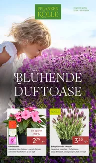 Pflanzen Kölle Katalog in Schlangenbad | BLÜHENDE DUFTOASE  | 2026-04-27T00:00:00.000Z - 2026-05-03T00:00:00.000Z