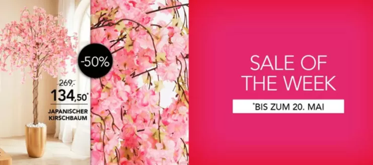 Möbel Rahaus Katalog | Sale Of The Week- | 2026-05-13T00:00:00.000Z - 2026-05-20T00:00:00.000Z