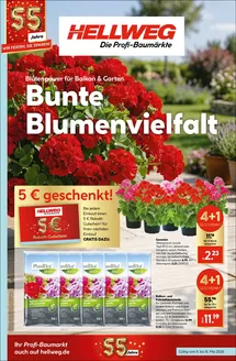 Hellweg Katalog | Bunte Blumenvielfalt | 2026-05-14T00:00:00.000Z - 2026-05-16T00:00:00.000Z