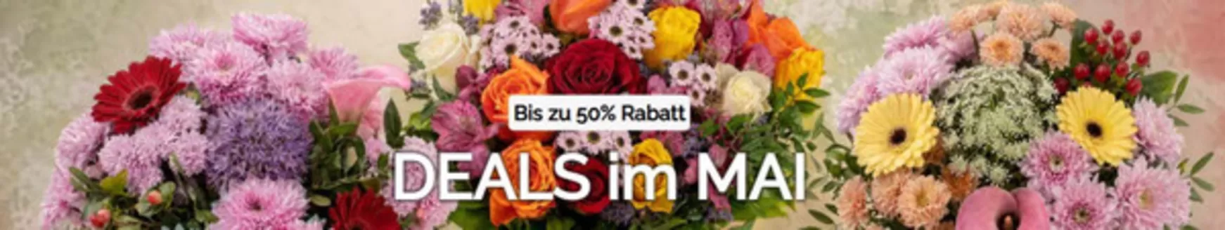 Blume Ideal Katalog in Meisenheim | Bis Zu 50% Deals Im Mai | 2026-05-20T00:00:00.000Z - 2026-05-30T00:00:00.000Z