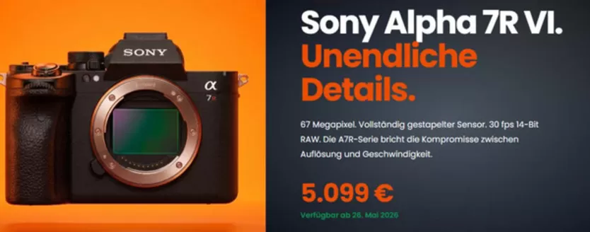 Foto Hamer Katalog | Sony Alpha 7R VI. | 2026-05-25T00:00:00.000Z - 2026-05-26T00:00:00.000Z