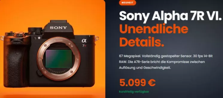 Foto Hamer Katalog | Sony Alpha 7R VI.  | 2026-06-01T00:00:00.000Z - 2026-06-30T00:00:00.000Z