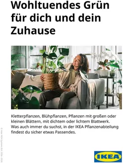 IKEA Katalog | Bf leitfaden pflanzen 07 2026 online | 2024-01-01T00:00:00.000Z - 2026-12-31T00:00:00.000Z