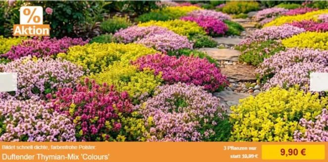 Baldur Garten Katalog in Stadtlengsfeld | % Aktion | 2026-07-31T00:00:00.000Z - 2026-08-20T00:00:00.000Z