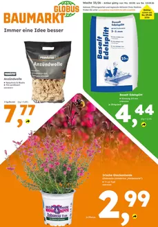 Globus Baumarkt Katalog | Neue Angebote zum Entdecken | 2026-08-10T00:00:00.000Z - 2026-08-15T00:00:00.000Z