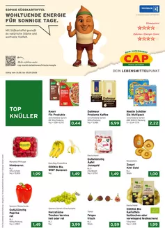 CAP Markt Katalog | Aktuelle Schnäppchen und Angebote | 2026-08-31T00:00:00.000Z - 2026-09-05T00:00:00.000Z