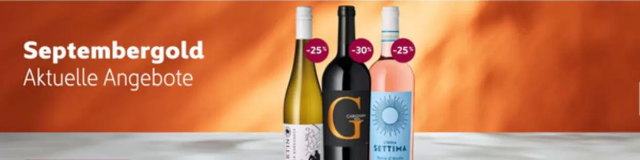 Vino Weinmarkt Prospekt in Marktheidenfeld | Aktuelle Angebote !  | 2026-08-31T00:00:00.000Z - 2026-09-22T00:00:00.000Z